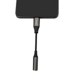 TRUSMI Lighting to 3.5 Jack Adapte 10cm